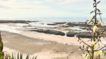 Beach nearby, sun-loungers