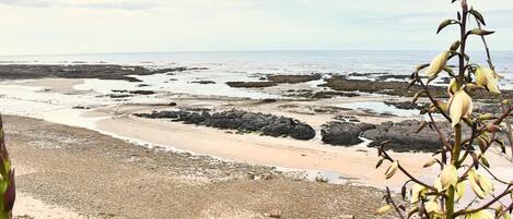 Beach nearby, sun-loungers