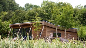 Een moderne houten hut met grote ramen, omringd door hoog gras en bomen.
