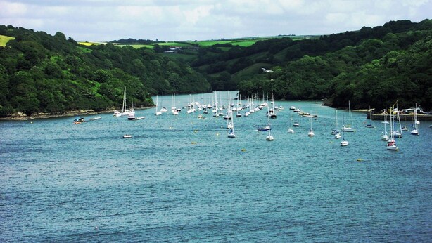 A marina with numerous sailboats docked along a river surrounded by lush greenery. - St Catherines Court No 7 (Fowey)