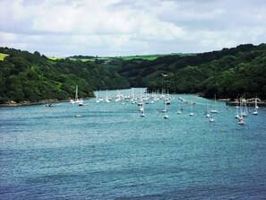 Un puerto deportivo con numerosos veleros amarrados a lo largo de un río rodeado de abundante vegetación.