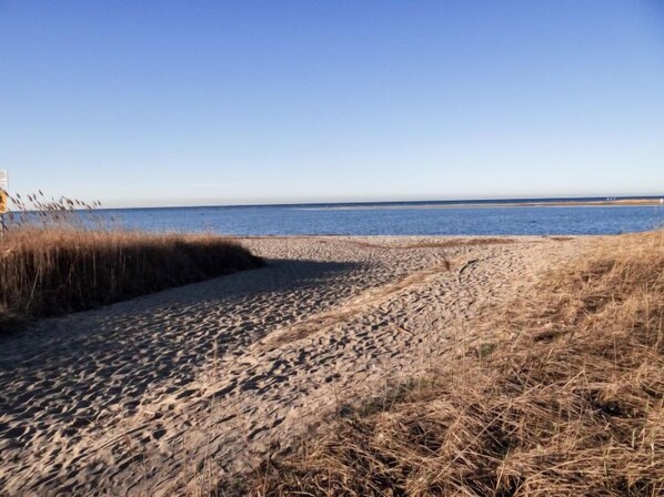 Guests can enjoy access to a serene beach with dry grass leading to a calm body of water.