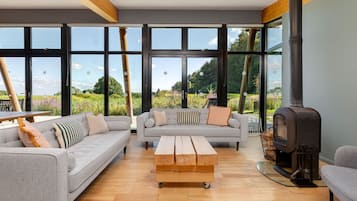 TV, fireplace, DVD player