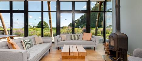 TV, fireplace, DVD player