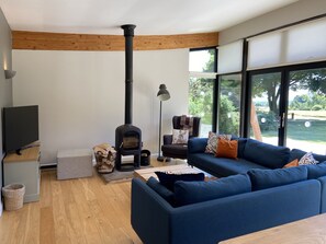 Flat-screen TV, fireplace, DVD player