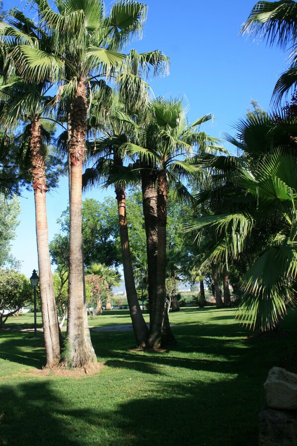 Jardines del alojamiento