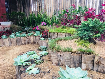 REDWOOD HOLLOW Cabana