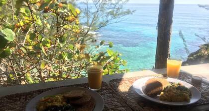 Tropical Tranquility and "Secluded Bliss: Dream Maker Hideaway"