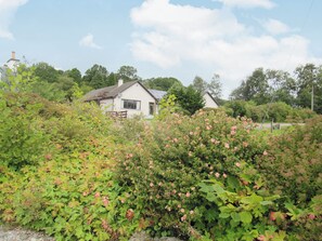 A house with a sloped roof, surrounded by dense greenery and flowering bushes.