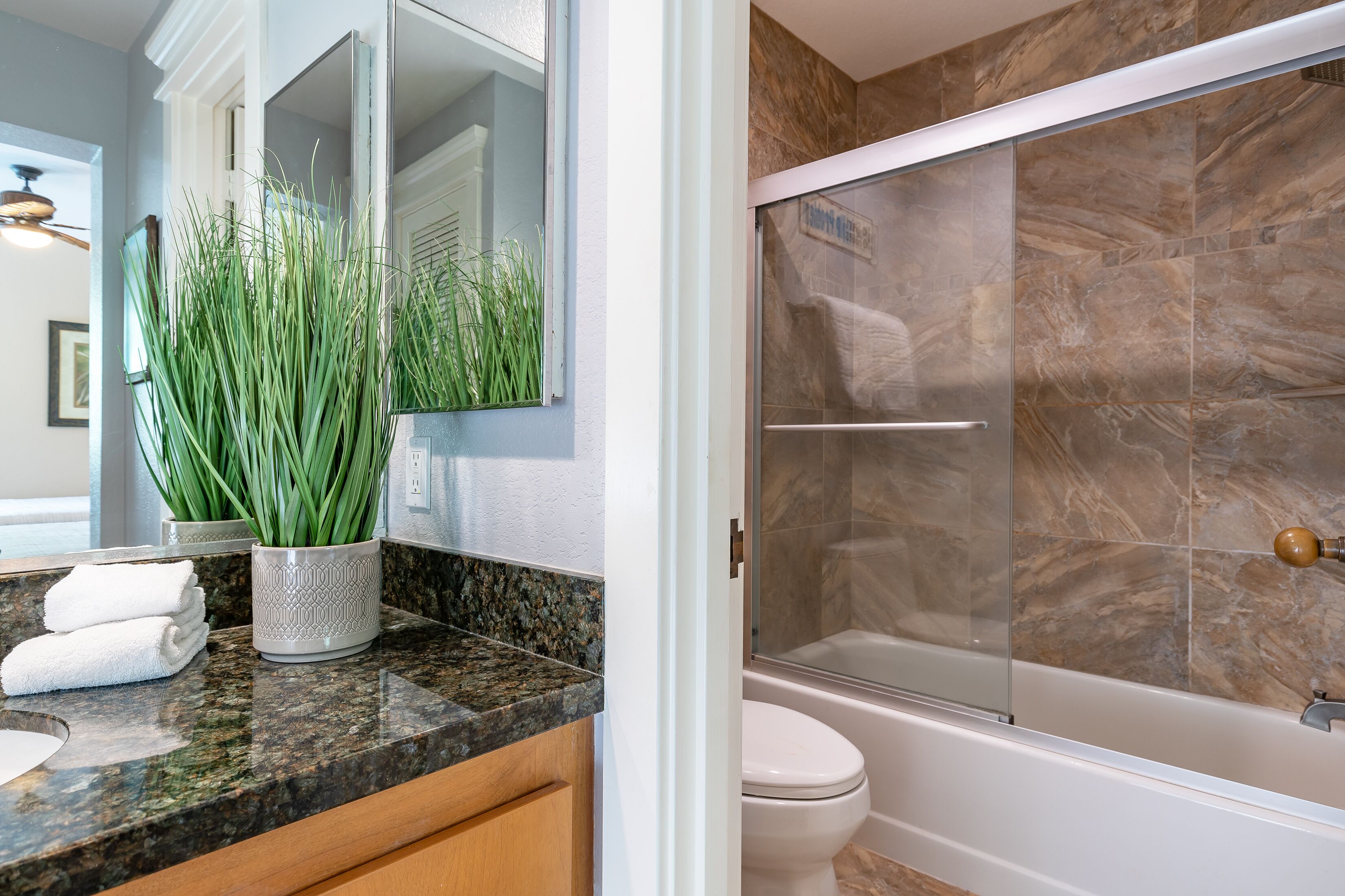 Une salle de bain avec un comptoir en granit, des toilettes blanches, une douche en verre et une plante en pot.