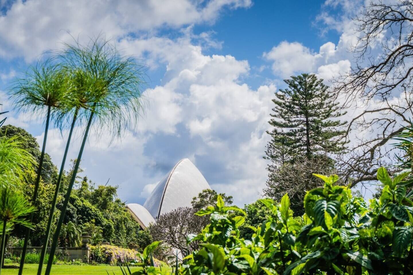 KOZYGURU | Wolli Creek | Kozy 1 Bed APT | Sydney Airport and Sydney CBD — image 13