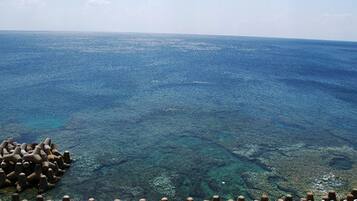 Habitación estándar doble | Vistas al mar