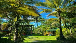 A lush tropical garden with palm trees, a green-roofed structure, and a clear blue sky. - Treehouse Vibe Near Hilo & Volcano w/ AC, BBQ, W&D & Ocean Cliffs - Keaau (Keaau)