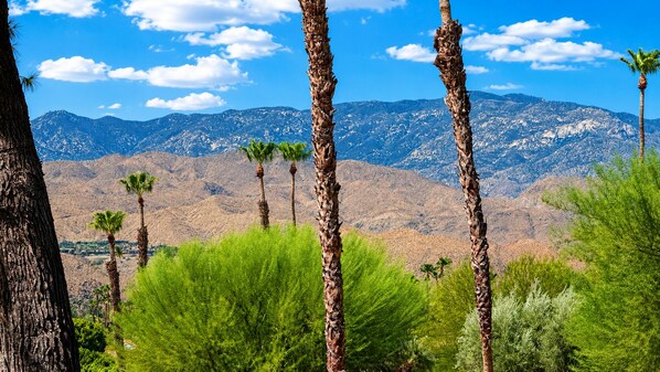 A mountainous landscape with palm trees and green shrubs.