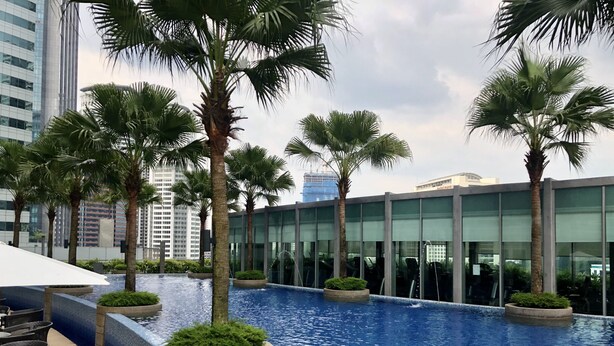 Zona de piscina en la azotea con palmeras, sillas de descanso y un edificio moderno al fondo.