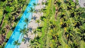 Vista aérea de un complejo turístico con una piscina larga, palmeras y una playa.
