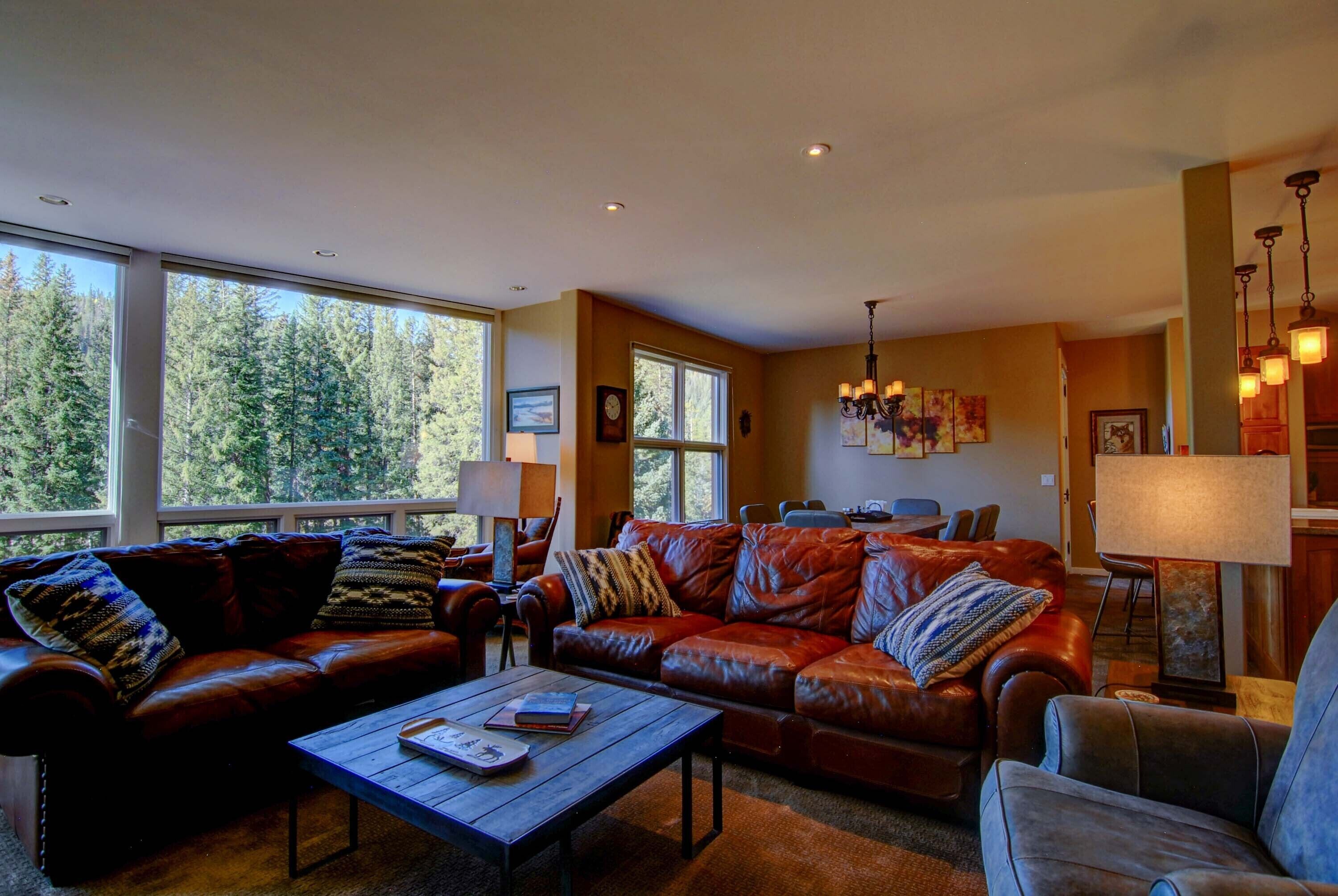 Riverfront Condo with Amazing Ski Slope Views overlooking the Fraser River!