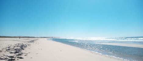 Chaises longues, serviettes de plage