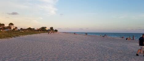 Sun-loungers, beach towels
