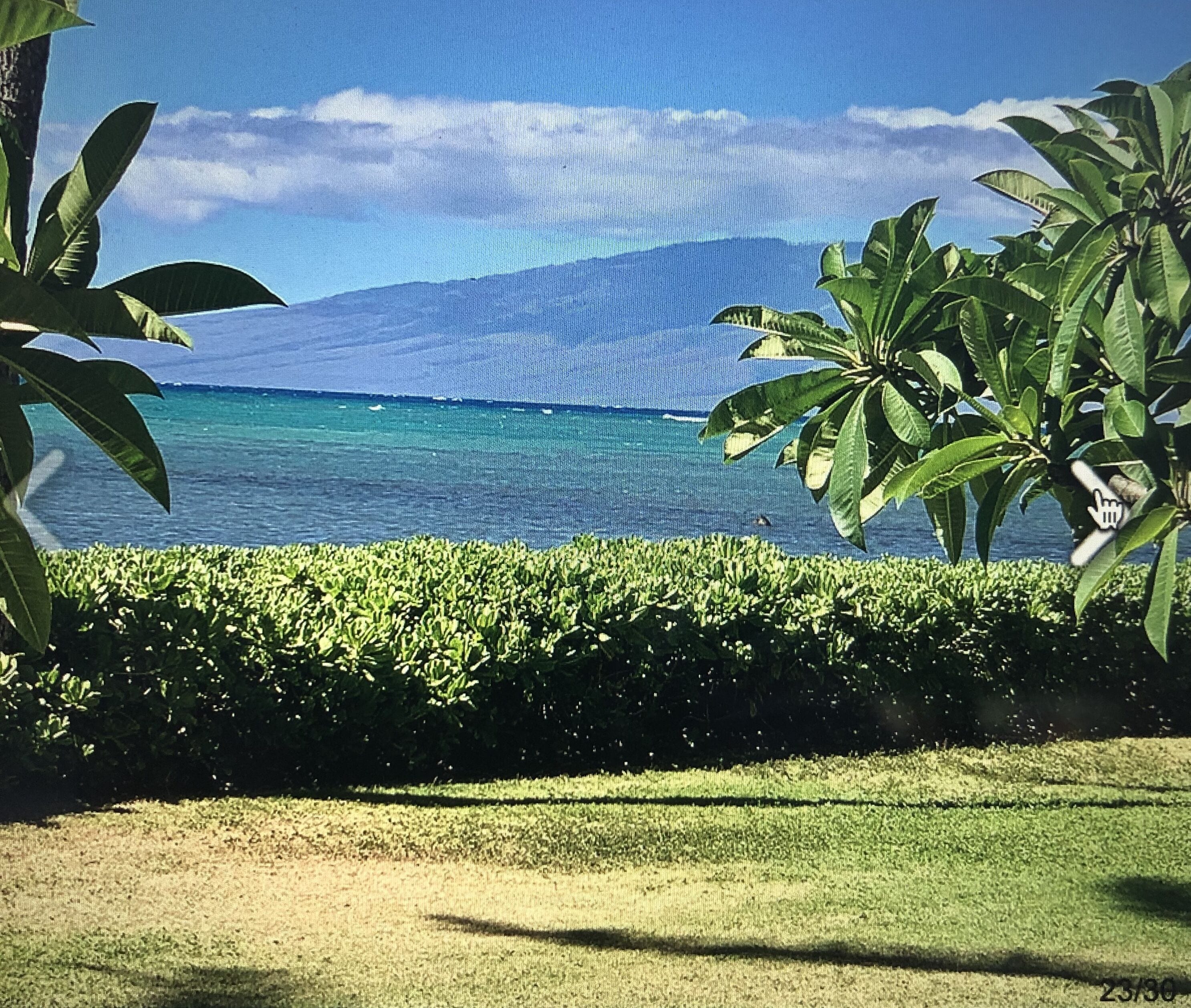 SPECIAL SUMMER RATES @100 PER NIGHT DIRECT OCEAN FRONT A BUILDING UPDATED