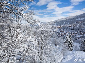 Miscellaneous - Cozy 1BR near slopes - 4 guests, balcony, equipped kitchen (Méribel)