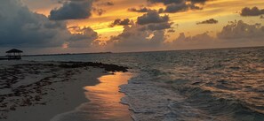Ubicación a pie de playa, tumbonas y toallas de playa