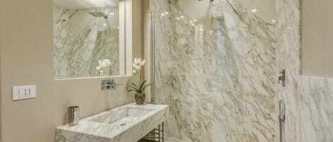Shower, free toiletries, hair dryer, bidet