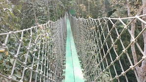 Aguas termales