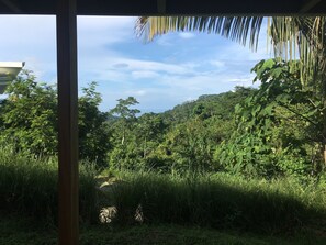 Property grounds - Ocean View from bedroom in this brand new modern home.  Centrally located. (Mal Pais)