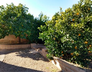 Un espace extérieur aménagé en jardin, avec un chemin de gravier et une bordure en briques.