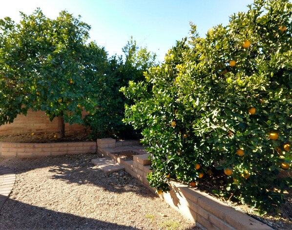 Áreas de la propiedad