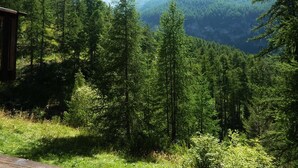 Une zone montagneuse boisée avec un chalet.