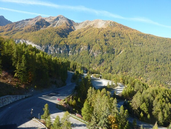 A mountainous landscape with a winding road, dense forest, and a clear sky.
