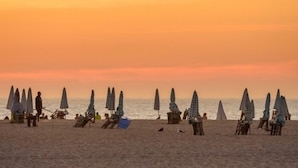 Una playa con hileras de sombrillas y sillas de playa, algunas ocupadas y otras vacías.