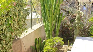 A garden with various cacti and plants, a concrete wall, and a tiled pathway. - rental in the gulf of valinco in Propriano (Propriano)