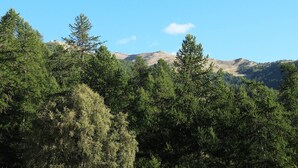 A forested mountain landscape with dense trees and a clear sky. - Family studio 4 pers, ski-in/ski-out, near center (Les Orres)