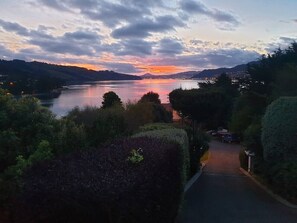 Unclassified image, 3 of 10, button - Tui2 - Studio (Macandrew Bay)