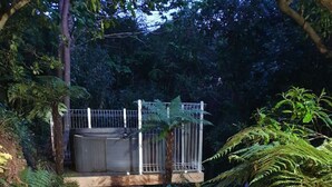A pathway leading to a gated area surrounded by dense vegetation and trees. - Tui2 - Studio (Macandrew Bay)
