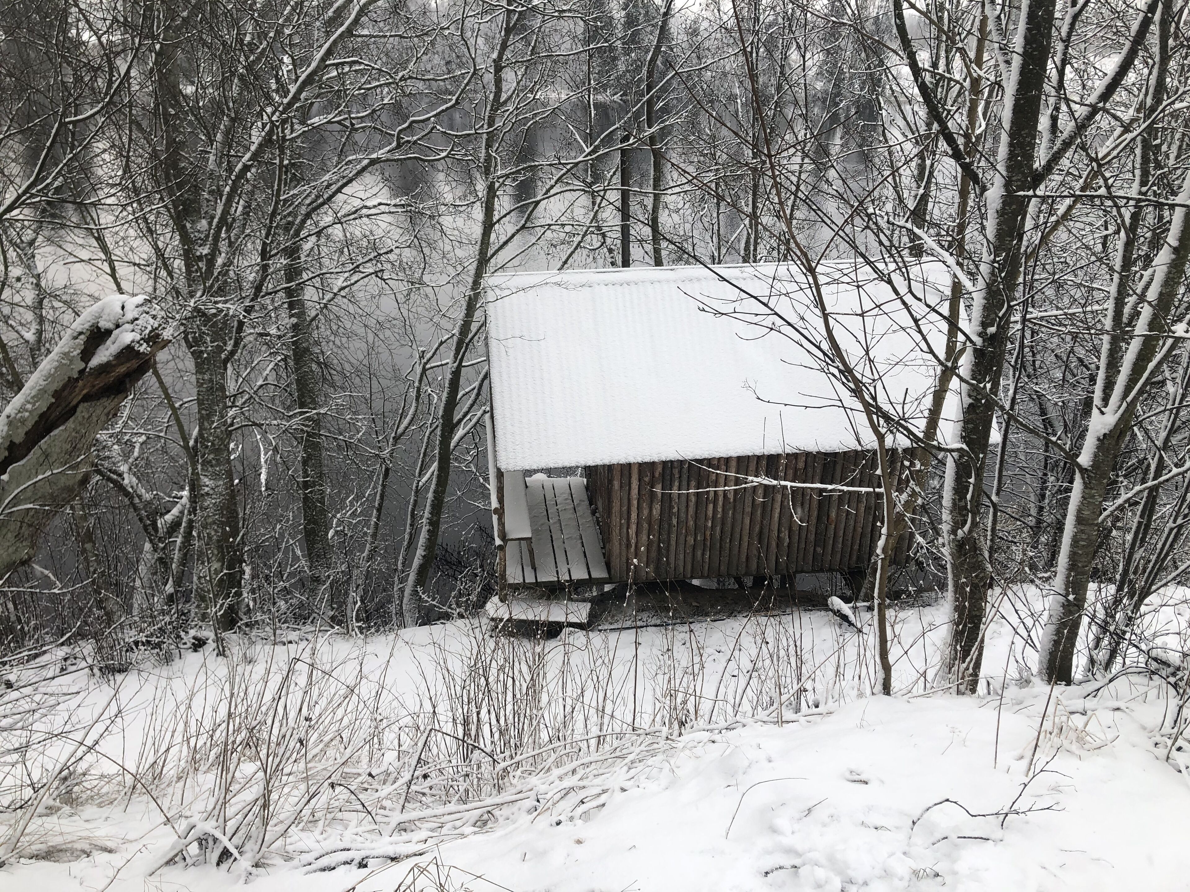 Eksteriør