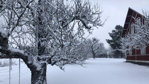 A snow-covered landscape with bare trees and a red building. - 2-bed Apartment Overlooking the River (Avesta)