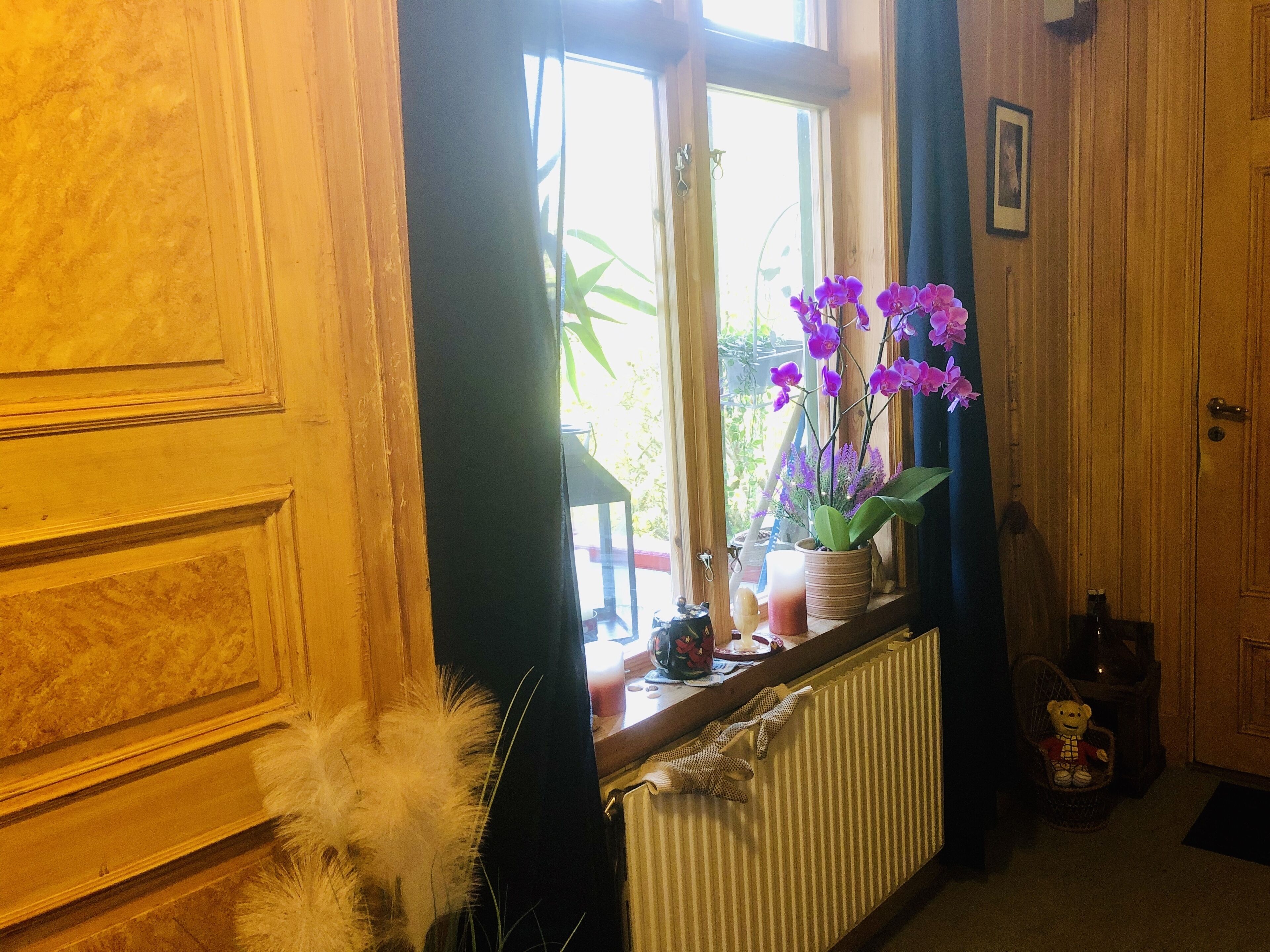 Apartment | Interior