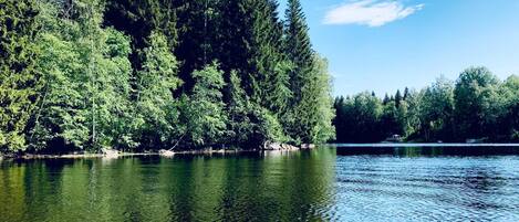 Um lago tranquilo rodeado por floresta densa.