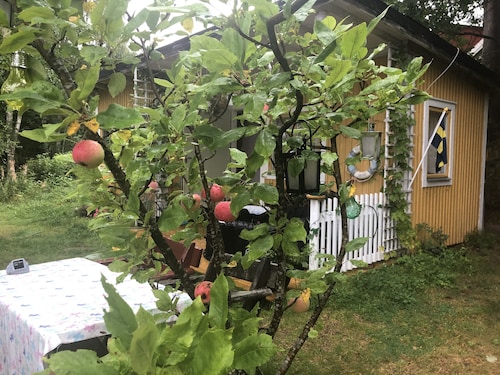 Apple Tree Cabin With River Views