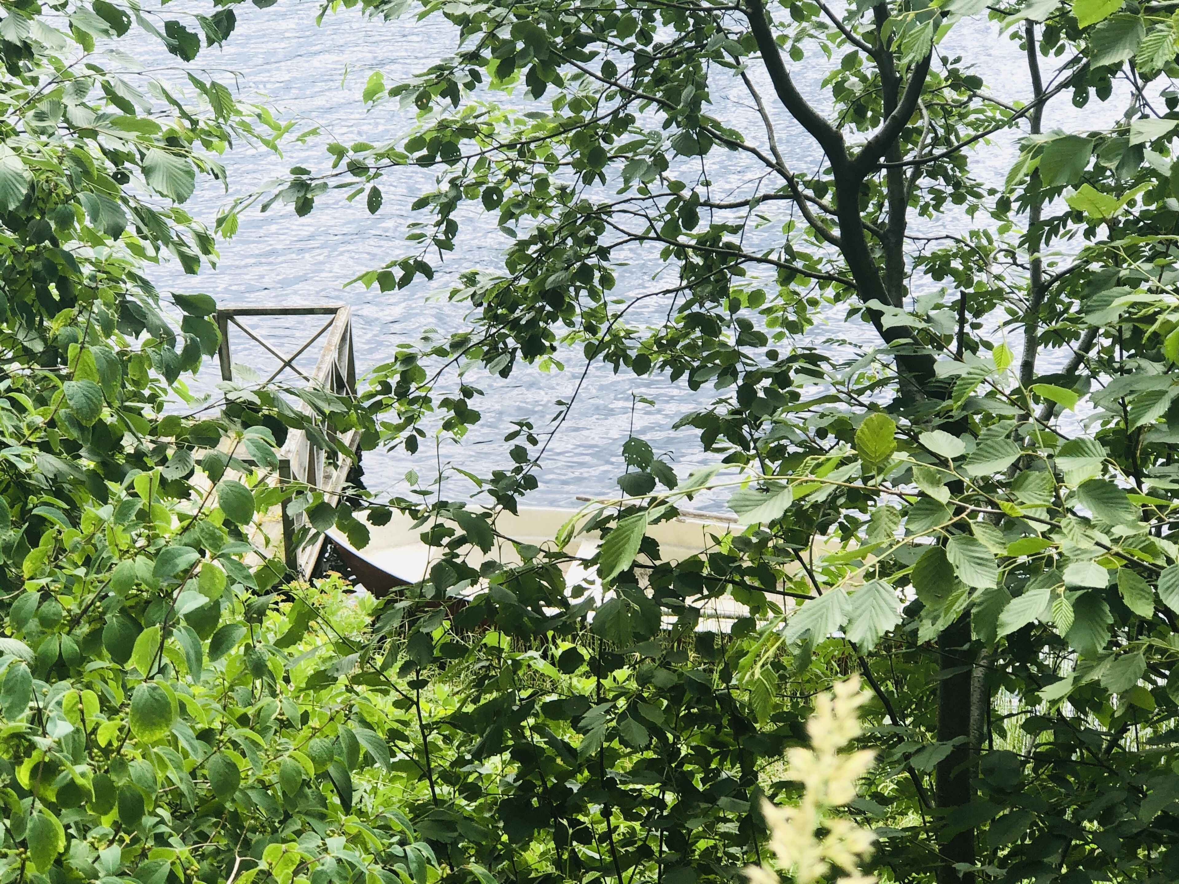 Kabin | Halaman properti