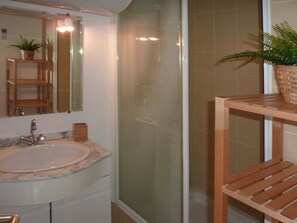 A bathroom with a marble sink, a mirror, a wooden shelf with a plant, and a glass shower enclosure.