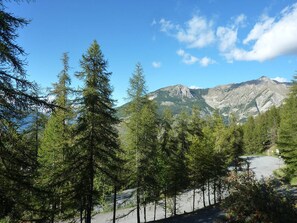 A mountainous landscape with dense coniferous trees and a clear sky.