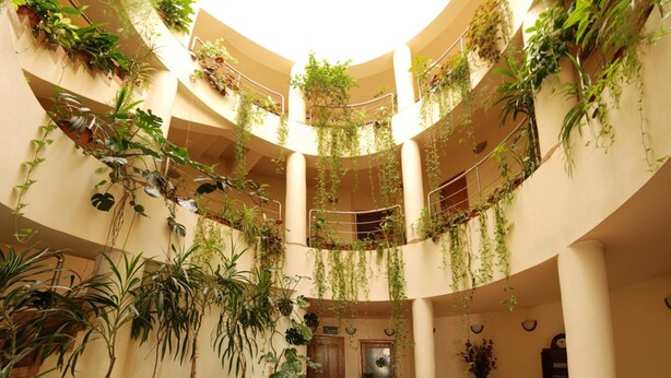 A multi-level atrium with lush greenery and plants decorating the walls and railings. - Hotel Gallant (Sibiu)