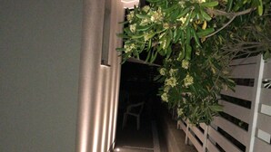 Un corridoio stretto e poco illuminato, con pavimento in cemento, una recinzione bianca su un lato e una pianta con fiori bianchi sull'altro.