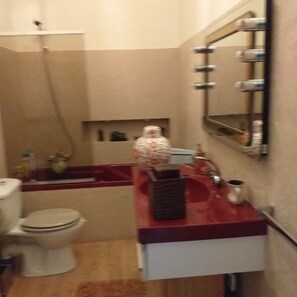 Sèche-cheveux, serviettes fournies, papier toilette