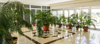 Apartament near the beach with pool and WIFI (E)